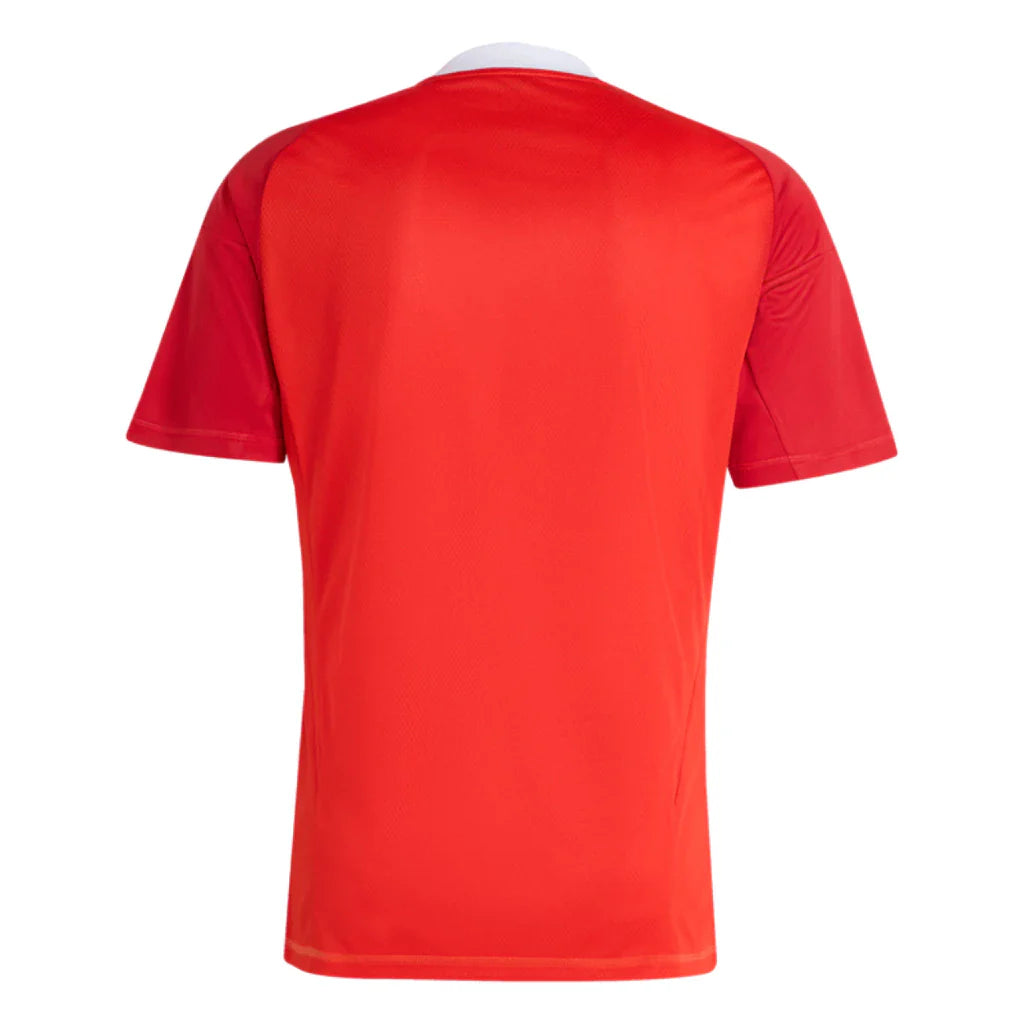 Camisa Flamengo Goleiro 3 2025 Torcedor